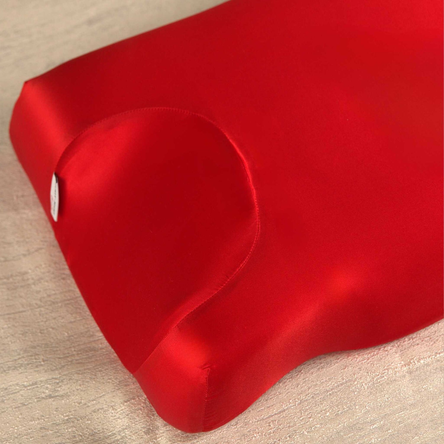 The Beautyx Pillow + Silk Pillowcase
